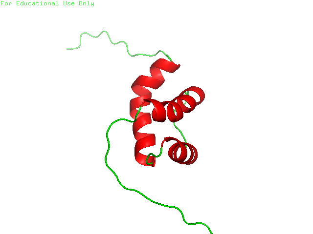 big image
