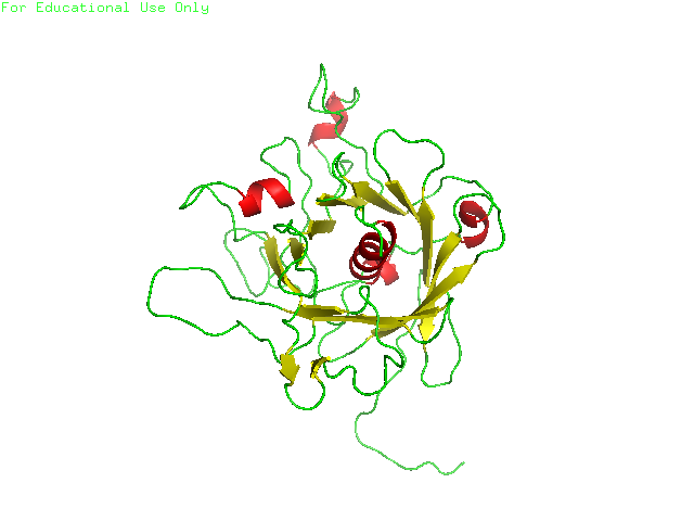 big image