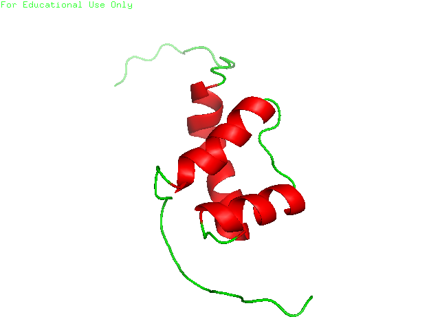 big image
