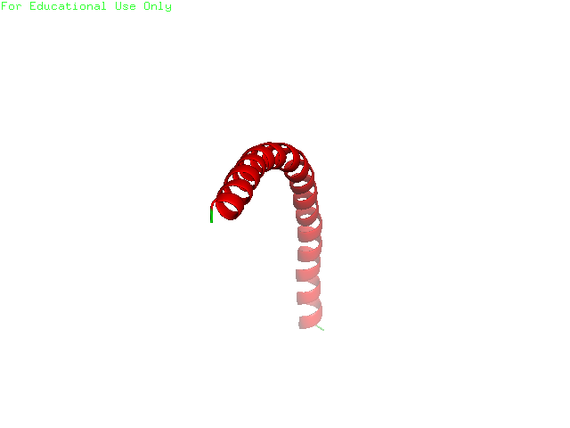 big image
