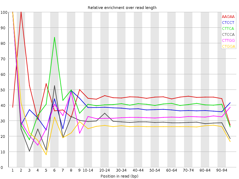 Kmer graph